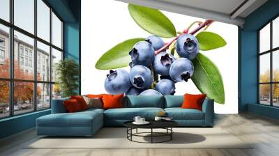 Branch of delicious ripe blueberries, cut out Wall mural