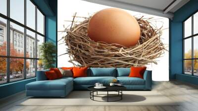 Brown egg within a rustic nest made of interwoven twigs and straw, cut out Wall mural