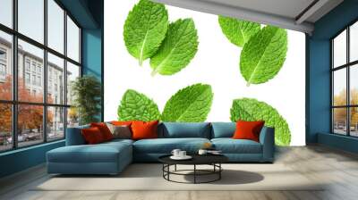 Collection of delicious fresh mint leaves, isolated on white background Wall mural