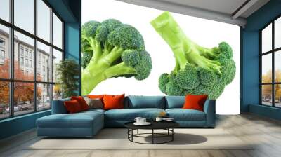 Delicious broccoli collection cut out Wall mural