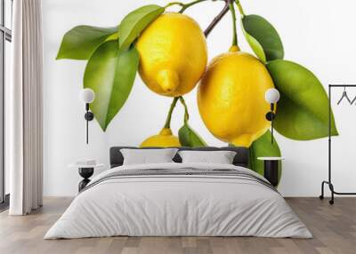 Fresh delicious lemons on branch, cut out Wall mural