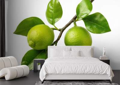 Fresh delicious limes on branch, cut out Wall mural