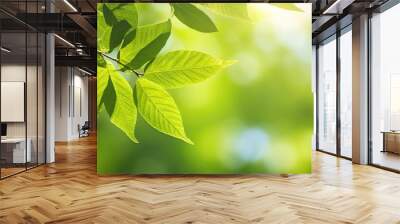 Fresh leaves on summer natural green background. Eco concept, copy space Wall mural