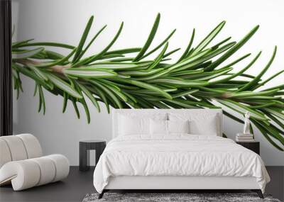 Fresh rosemary twig cut out Wall mural