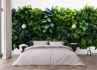 Green garden wall from tropical plants, cut out Wall mural