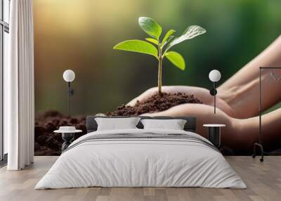 Hands holding soil with growing young plant on green nature background. Eco concept. Copy space Wall mural