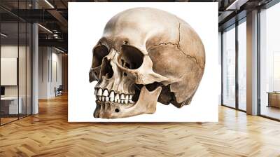 Human skull cut out Wall mural