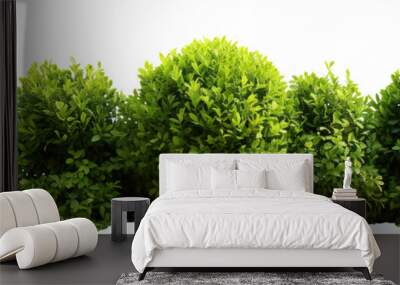 Lush garden bushes cut out Wall mural