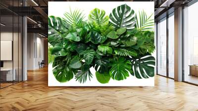 Lush green tropical plants bush (monstera, palm, rubber plant, pine and fern), cut out Wall mural