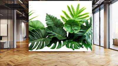 Lush green tropical plants bush (monstera, palm, rubber plant, pine and fern), cut out Wall mural