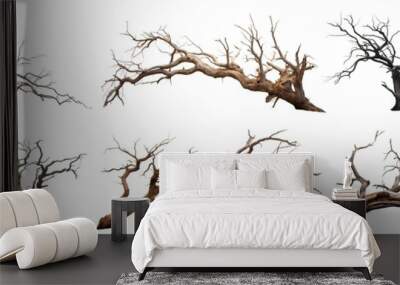 Majestic isolated leafless tree with gnarled branches and twisted trunk, cut out Wall mural