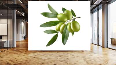 Olive branch with beautiful green olives, isolated on white background Wall mural