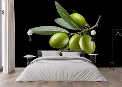 Olive branch with green olives, isolated on black background Wall mural