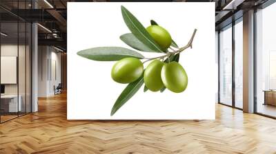 Olive branch with green olives, isolated on white background Wall mural