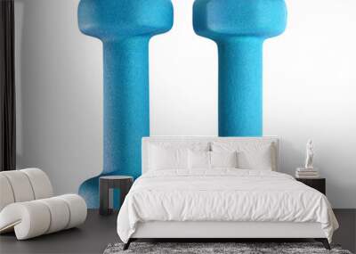 Pair of blue dumbbells cut out Wall mural