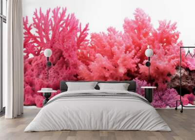 Pink coral reef cut out Wall mural