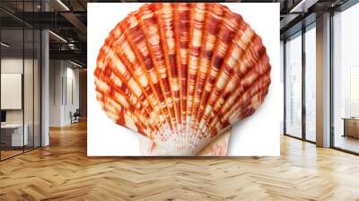 Sea shell, isolated on white background Wall mural