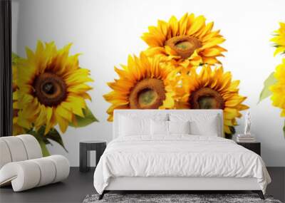 Set of bright sunflowers in full bloom, cut out Wall mural