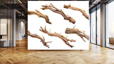 Set of driftwoods, cut out Wall mural