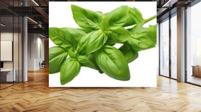 Set of fresh basil leaves cut out Wall mural