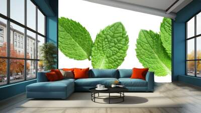 Set of fresh delicious mint leaves cut out Wall mural