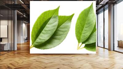 Set of fresh green leaves, cut out Wall mural