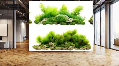 Set of green aquatic moss coral reefs, cut out Wall mural