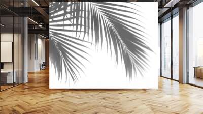 Shadow of palm leaves, cut out Wall mural