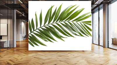 Tropical green palm leaf, cut out Wall mural