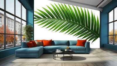 Tropical green palm leaf cut out Wall mural