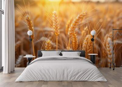 backdrop of a golden wheat field provides serene ambiance for tranquil contemplation Wall mural