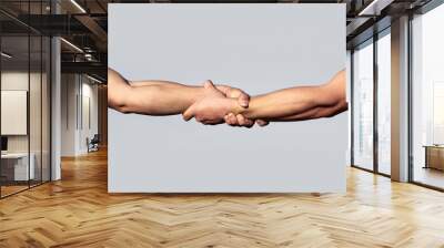 A friendly handshake. Two hands, shaking hands. Two hands, helping arm of a friend, teamwork. Rescue, helping gesture or hands. Close up help hand. Helping hand concept, support Wall mural