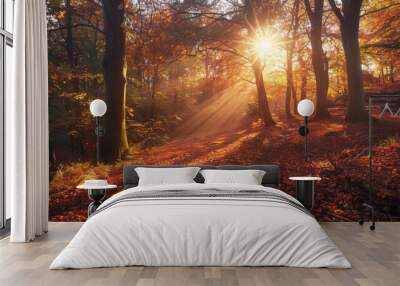 Golden hour photography  capturing the stunning autumn light in all its natural beauty Wall mural