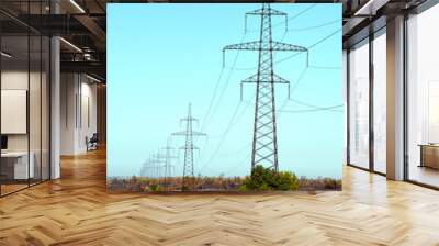 Power lines in a field outside the city Wall mural