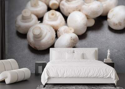 Raw mini mushroom champignon in a gray background. Top view Wall mural