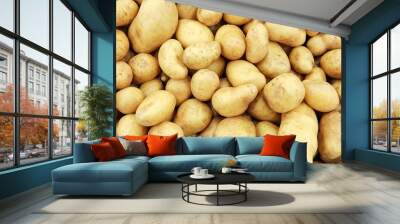 Raw potatoes closeup group Wall mural