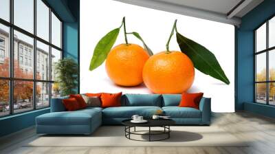 two mandarin clementine with leafs on a white background Wall mural