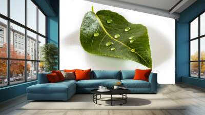 green leaf with water drops isolated on white background Wall mural