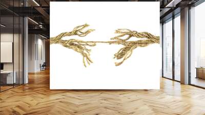 isolated image of bursting rope on white background close up Wall mural