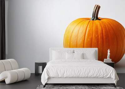 Orange pumpkin isolated on white background, copy space Wall mural