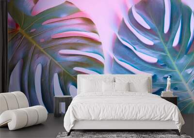 Tropical palm leaf on pastel background Wall mural