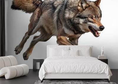 wolf attacking,running, jumping,action pose,tattoo, White background Wall mural