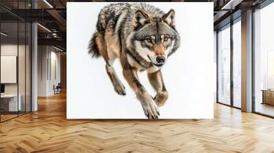 wolf attacking,running, jumping,action pose,tattoo, White background Wall mural