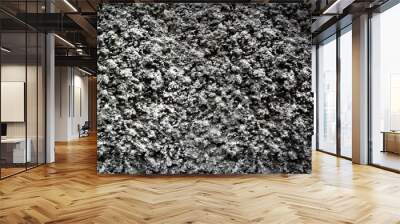 rough grey texture of the wall. small pimples Wall mural