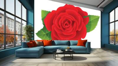 Beautiful red rose flower vector illustration Wall mural