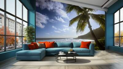  Grand anse beach Wall mural