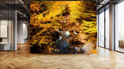 Golden leaves and river in the forest during fall foliage in New Hampshire Wall mural