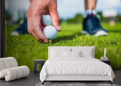 golf ball ang club on golf green grass natural fairway Wall mural