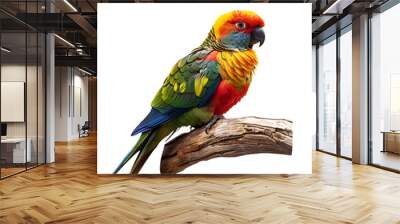 cute colorful parrot isolated on transparent background Wall mural