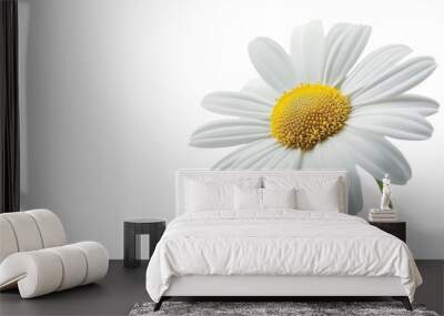 Daisy Flower isolated on a transparent background, PNG file, graphic resources  Wall mural